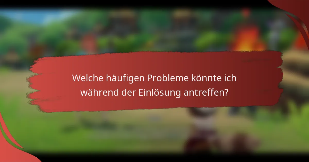 Welche häufigen Probleme könnte ich während der Einlösung antreffen?